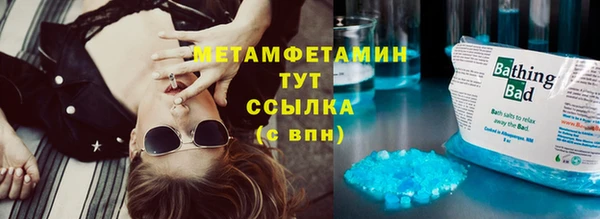 индика Абаза
