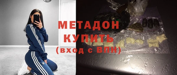 индика Абаза