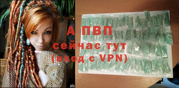 индика Абаза