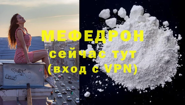 индика Абаза