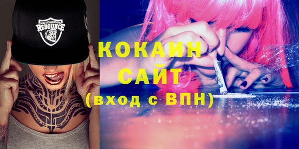 индика Абаза