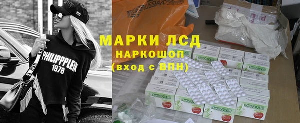 индика Абаза