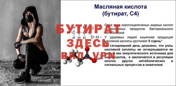 индика Абаза