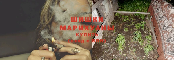 индика Абаза