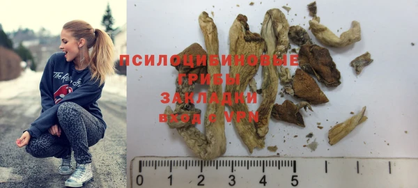 индика Абаза