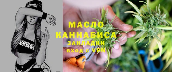 индика Абаза