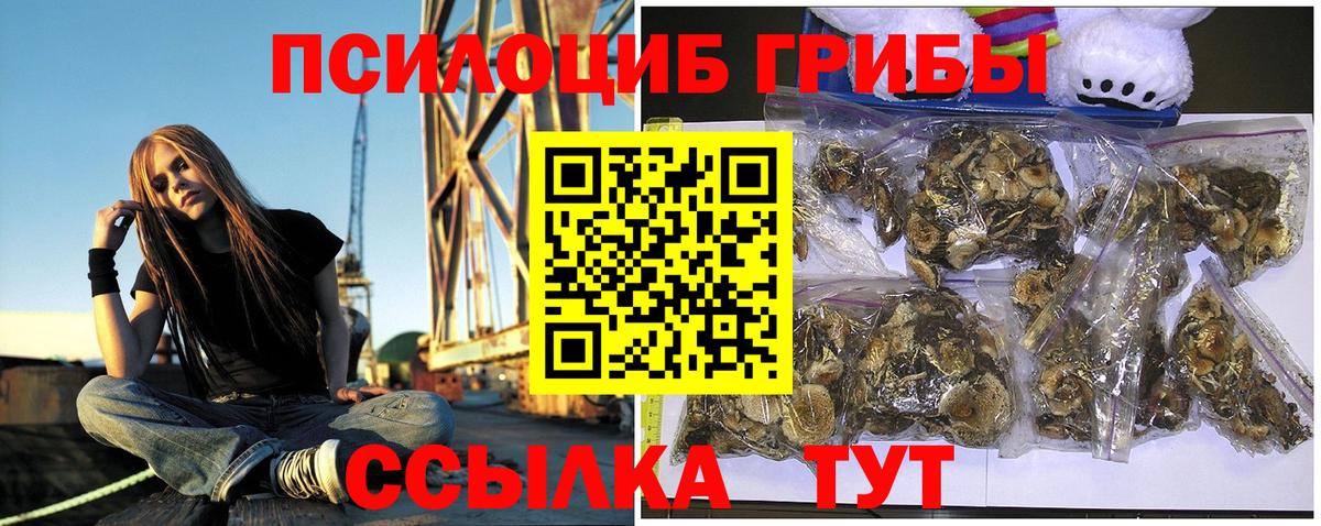 Псилоцибиновые грибы прущие грибы Советск