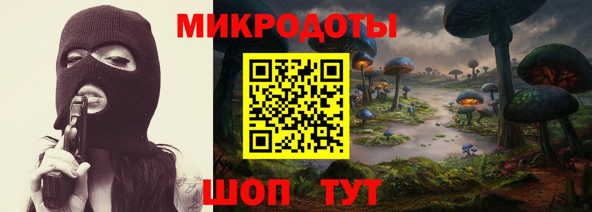 Советск  Галлюциногенные грибы GOLDEN TEACHER  Вход с VPN 